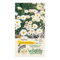 Suttons Wildlife Sanctuary Ox Eye Daisy Seeds