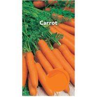 Suttons Carrot Seeds Amsterdam 3 Mix