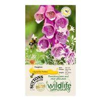 suttons wildlife sanctuary foxglove seeds