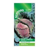 suttons cabbage seeds january king 3 mix