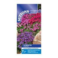 Suttons Aubrieta Seeds Cheeky Mi...