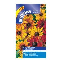 Suttons Rudbeckia Seeds Rustic Dwarf Mix