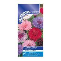 Suttons Cornflower Seeds Polka Dot Mix