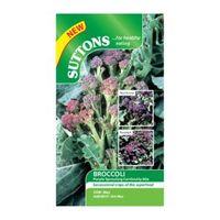 suttons broccoli seeds purple sprouting continuity mix