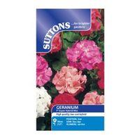 Suttons Geranium F2 Seeds Super Hybrid Mix