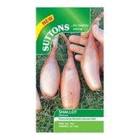 Suttons Shallot Banana Seeds Zebrune Mix