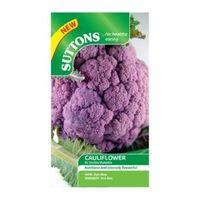 Suttons Cauliflower Seeds Di Sicilia Violetto Mix