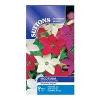 suttons nicotiana seeds evening fragrance mix