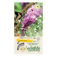 Suttons Wildlife Sanctuary Buddleia Seeds Butterfly Hybrids Mix