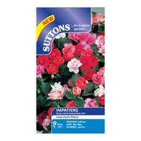 Suttons Impatiens Seeds Balsamin...