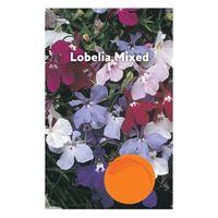 Suttons Lobelia Seeds Upright Mixed Mix