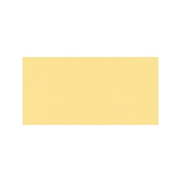 Sun Haze Gloss Oblong (PRG50) Tiles - 200x100x6.5mm