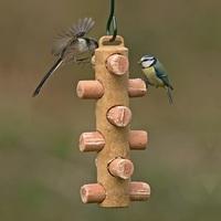 Suet Feeding Log