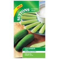 Suttons Cucumber Seeds F1 Baby