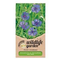 Suttons Field Cornflower Seeds Centaurea Cyanus