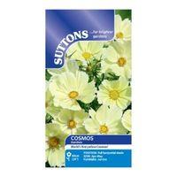 Suttons Cosmos Seeds Xanthos