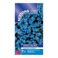 suttons forget me not seeds spring symphony blue