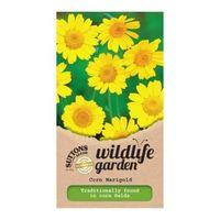 Suttons Corn Marigold Seeds Wildflower