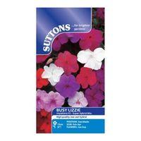 Suttons Busy Lizzie Seeds Impatiens F2 Super Hybrid Mix