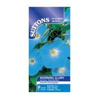 Suttons Morning Glory Seeds Ipomoea - Heavenly Blue