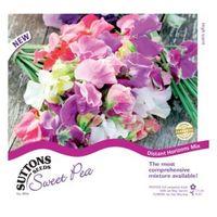 Suttons Sweet Pea Seeds Distant Horizons