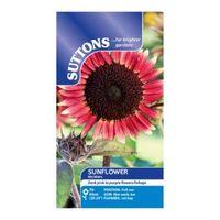 Suttons Sunflower Seeds Ms Mars