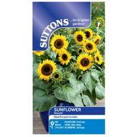 Suttons Sunflower Seeds Waooh!