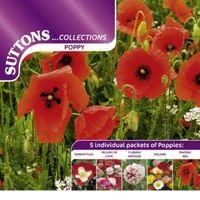 Suttons Collection Seeds Non Gm