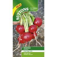 Suttons Rougette Seeds Non Gm