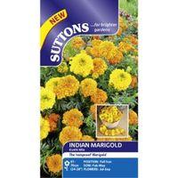 Suttons Kushi Seeds Non Gm