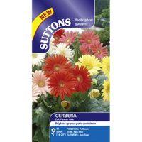 Suttons Cut Flowers Mix Seeds Non Gm