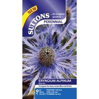 Suttons Alpinum Blue Ice Seeds Non Gm