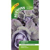 Suttons Lodero Red Seeds Non Gm