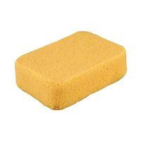 Super Sponge