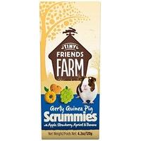 Supreme Petfoods Gerty Scrummies with Apple/Strawberry/Apricot and Banana 120 g, Pack of 8