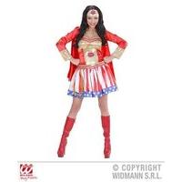 Super Hero Girl Costume For Superhero Fancy Dress Up Outfits