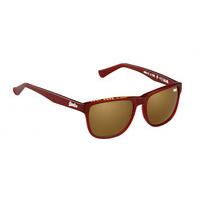 Superdry Sunglasses SDS NI 160
