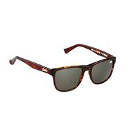 Superdry Sunglasses SDS NI 102