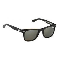 Superdry Sunglasses SDS SAN 104