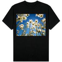 sun and blue sky through daisies