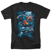 superman stormy flight