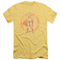 superman peoples champion slim fit