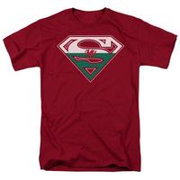 Superman - Welsh Shield