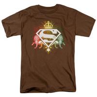 Superman - Ornate Lion Shield