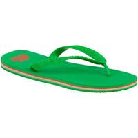 Sundek Green Man Flip Flops Barracuda men\'s Flip flops / Sandals (Shoes) in green