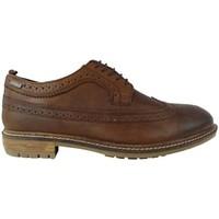superdry brad brogue shoe mens casual shoes in brown