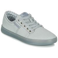 Supra STACKS II women\'s Shoes (Trainers) in grey