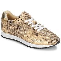 SuperTrash DALLAS women\'s Shoes (Trainers) in gold