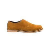 Suede Desert Shoe