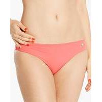 Sunseeker Classic Bikini Brief